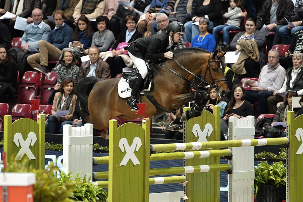 Unser HENGST DES MONATS September: Comme il faut