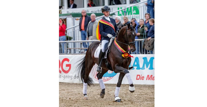 Immer wieder beginnen hier sportliche Pferde-Karrieren nach einer Teilnahme erst so richtig und erlangen starken Bekanntheitsgrad. Züchterisch sind sicherlich die drei- und vierjährigen Hengste ein Highlight, um schon mögliche Anpaarungen für das kommende Zuchtjahr 2020 zu finden.