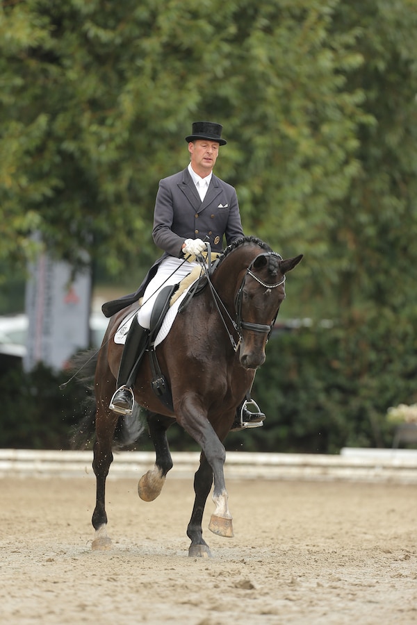 Abschied von Trakehner Hengst Exclusiv