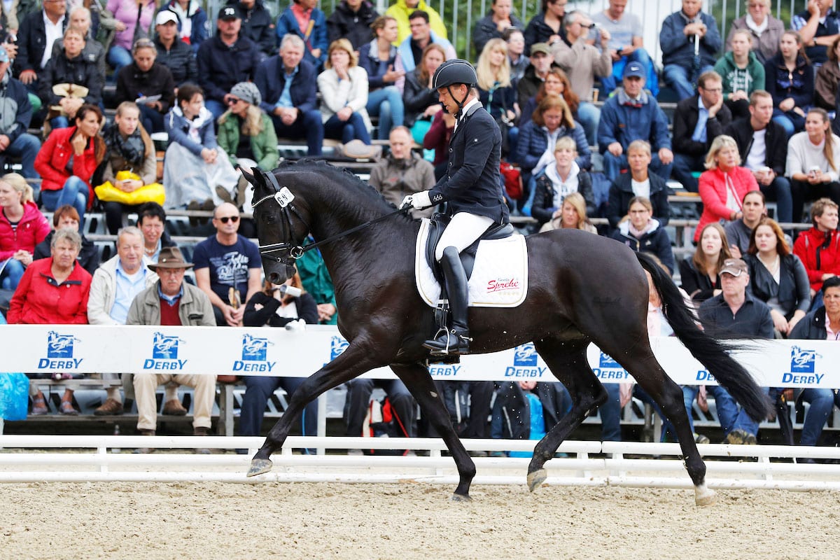 Redefin – Mecklenburger Körtage beginnen