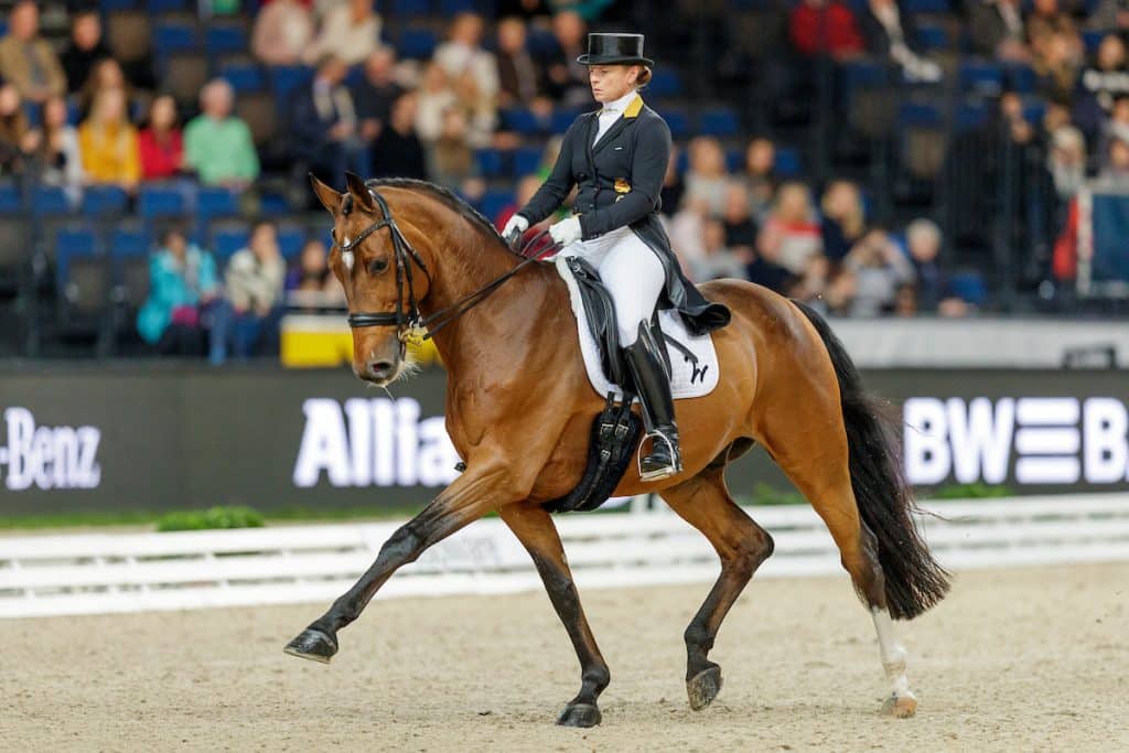 AmadeusHorseIndoors: Erste Plätze auch im Grand Prix von Westfalen belegt
