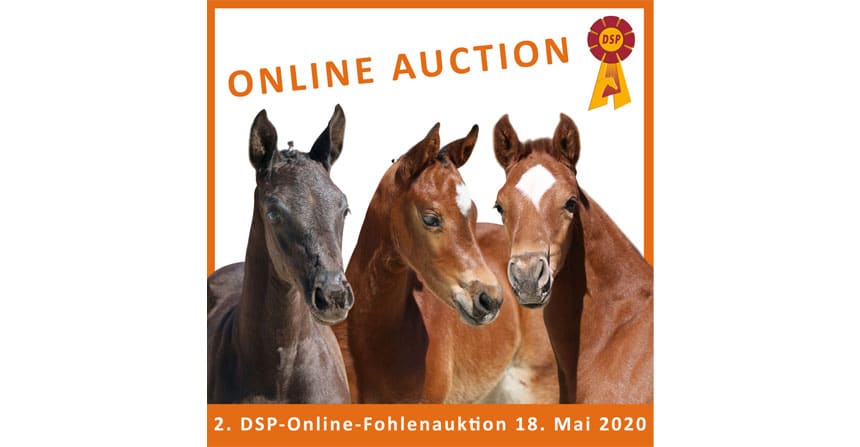 Heute, 18. Mai 2020, endet ab 19.30 Uhr die 2. DSP-Online-Fohlenauktion mit dem Bid up.