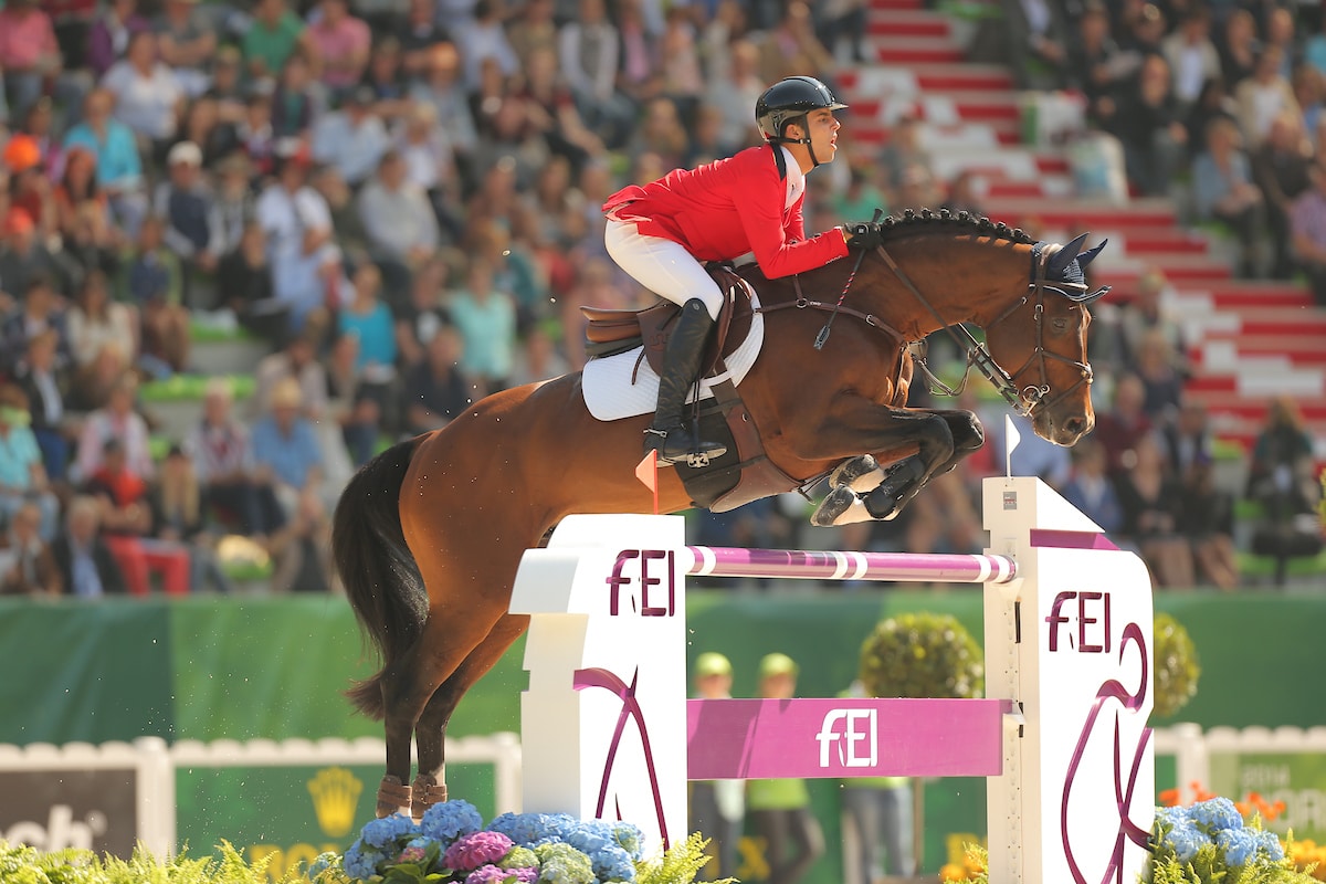 Holsteiner Mai-Körung 2020