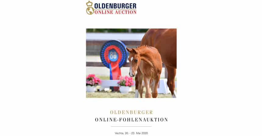 Oldenburger Online-Fohlenauktion vom 20. - 23. Mai 2020. Ab sofort präsentieren sich die Oldenburger Nachwuchstalente im Online-Auktionslot.