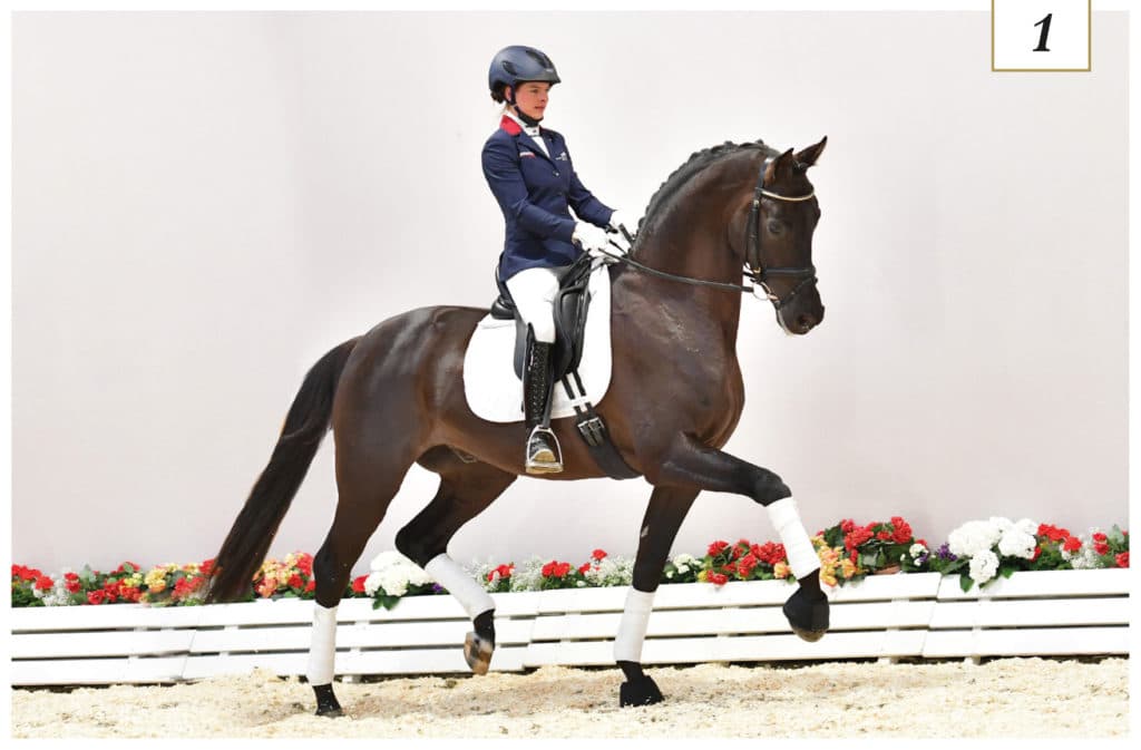 Bildschön, lackschwarz, bewegungsopulent mit bezauberndem Charakter und wunderbarem Temperament ­­– so strahlten die beiden Dressur-Preisspitzen bei der 3. Oldenburger Online Special Edition.