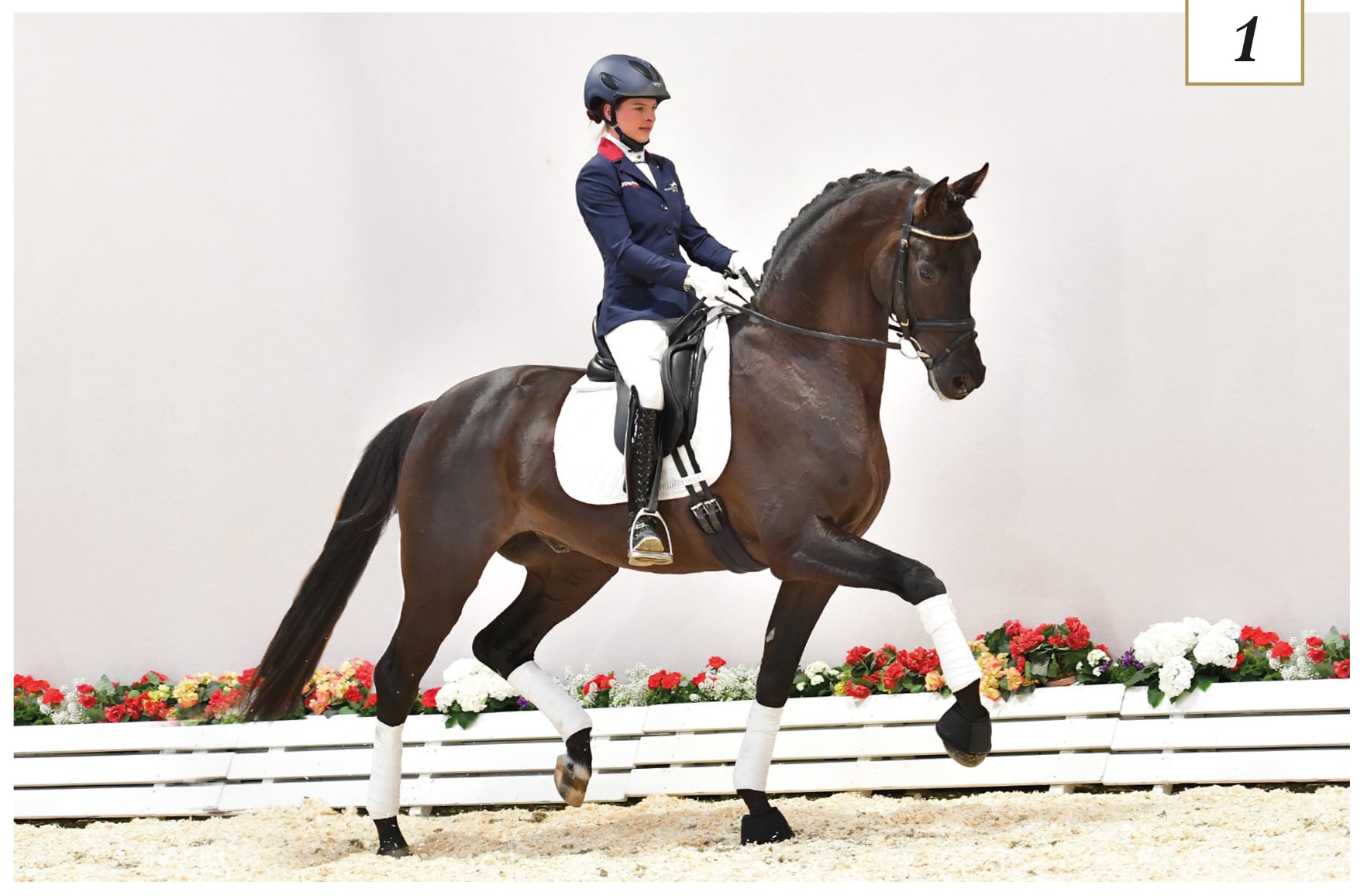 Oldenburger Sommerfest der Superlative