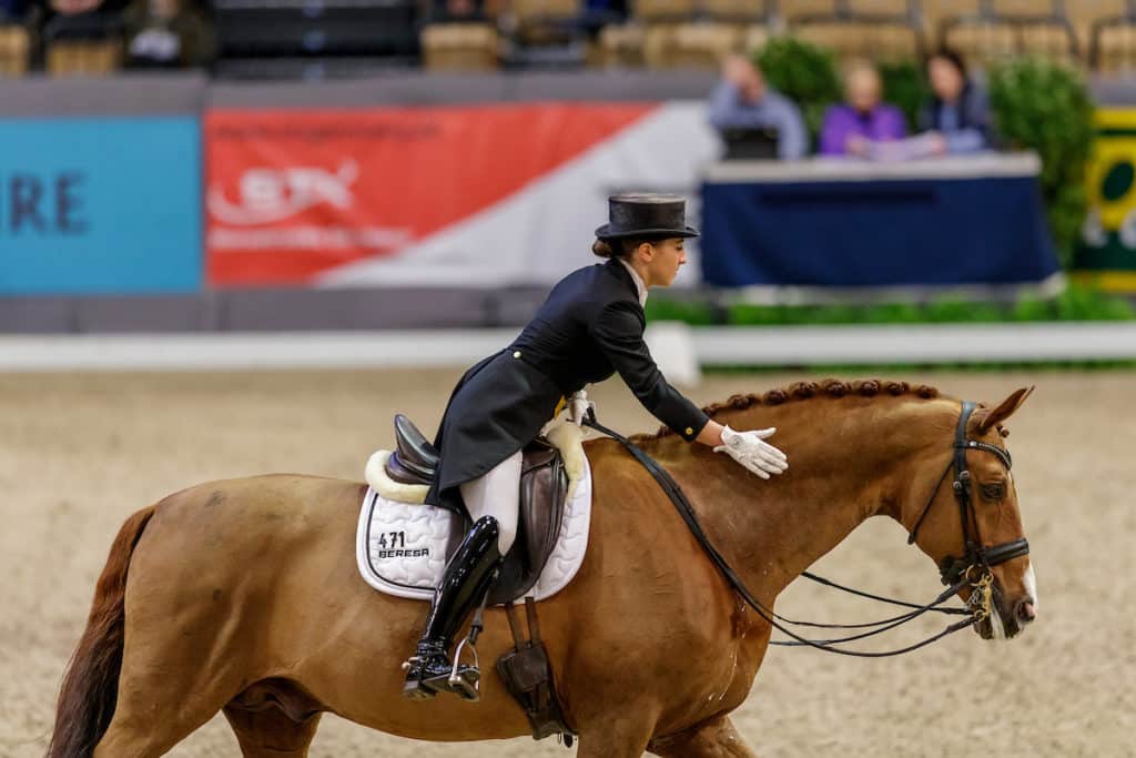 Gestern standen zwei Prüfungen auf dem Programm des Dressurturniers in Essen-Herbergen, eine S* und ein Kurz-Grand Prix. Vor allem das Starterfeld in der S* wurde besetzt durch prominentes Blut.