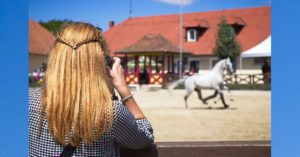 Pferde in Bewegung fotografieren ist eine echte Herausforderung. © encierro/adobe.stock.com