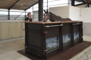 Aquatrainer werden in erster Linie zu Reha-Zwecken eingesetzt. Geschwindigkeit und Wasserstand können je nach Genesungszustand eines verletzten Pferdes angepasst werden. Foto: Sascotec
