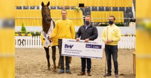 St.Pr.St. Daylight v. De Niro/Weltmeyer ist Hannoveraner Stute des Jahres. Die Söhne des Züchters, Willem und Heiko Klausing, gratulieren der Stute an der Hand von Sebastian Krause. Foto: Hannoveraner Verband
