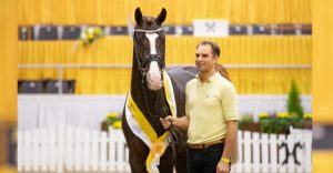 Dunkelfuchs v. Sezuan/Sir Donnerhall mit seinem Züchter und Aufzüchter Pascal Kandziora. Foto: Hannoveraner Verband