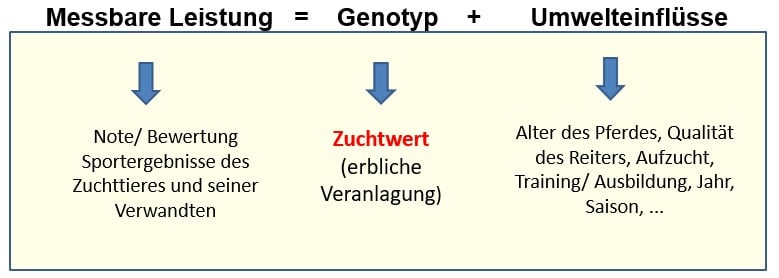 Abbildung 1 zeigt die phänotypische (messbare) Leistung.