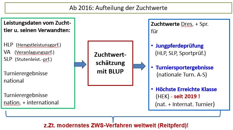 Abbildung 2 zeigt Kalkulation und Darstellung von Zuchtwerten in der Reitpferdezucht seit 2016.