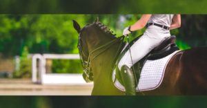 taylon/stock.adobe.com